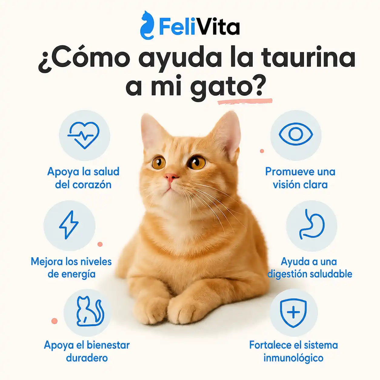 FeliTaurina+ — Suplemento de taurina pura para gatos