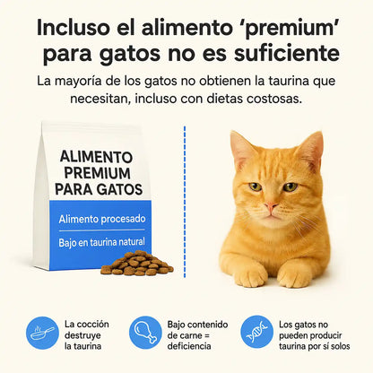FeliTaurina+ — Suplemento de taurina pura para gatos
