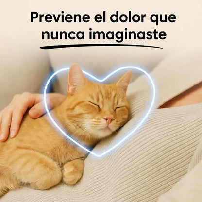 FeliTaurina+ — Suplemento de taurina pura para gatos